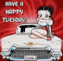 Happy Tuesday GIF