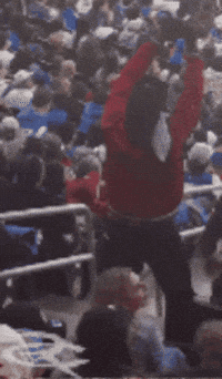 Nfl Winning GIF by Respective