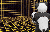 Panda Room GIF by Endangered Labs