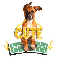 Football Dog Sticker by Puppy Bowl