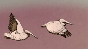 2d animation GIF by Amanda Bonaiuto