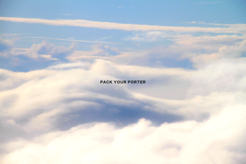 GIF by Porter International