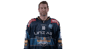 Sport Celebration Sticker by Black Wings Linz
