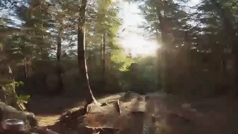 jeffreyjosephkendallweed giphygifmaker GIF