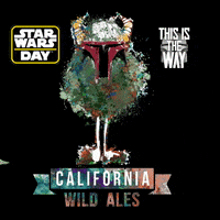 californiawildales star wars yoda baby yoda mando GIF