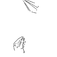 Amnestyindonesia send message amnesty indonesia amnesty international indonesia pesawat kertas Sticker