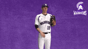 Baseball Warriors GIF by WinonaStateATH