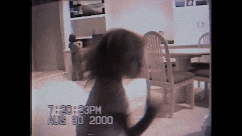 Slim Shady GIF by Eminem