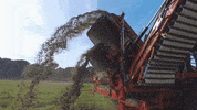 ASA-LIFT vegetables harvest onion carrots GIF