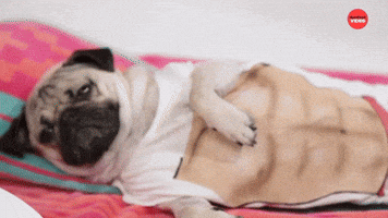 Beach Bod