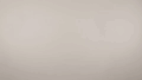 Hertha Berlin Sport GIF by Hertha BSC