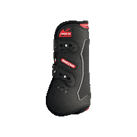 ZandonaOfficial showjumping jumping horse equick eskadron Sticker