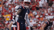 Football Thumbs Up GIF by New England Patriots