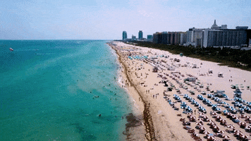 Miami Beach Swimming GIF by ATLAST