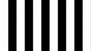 Soccer Celebration GIF by SK Sturm Graz