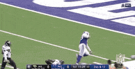 2018 Nfl Football GIF by NFL