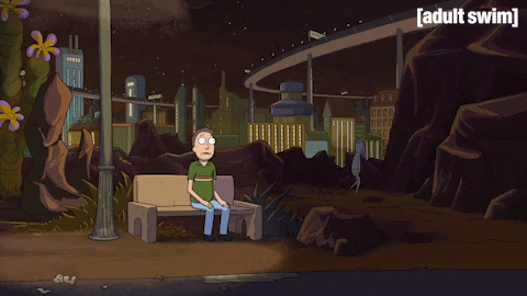 Season 2 Jerry GIF by Rick and Morty