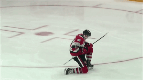 hockey celebrate GIF by Ottawa 67's