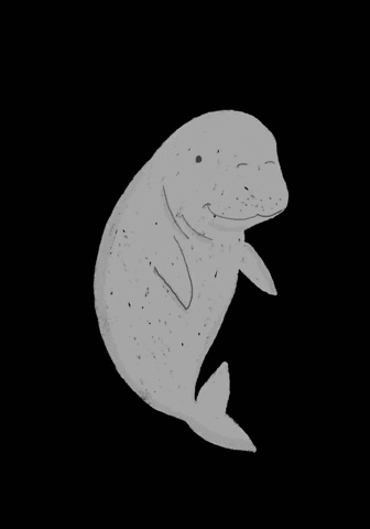 nadyacaka giphygifmaker beach sea dugong GIF