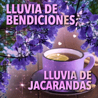 Nu Cuenta GIF by Nubank