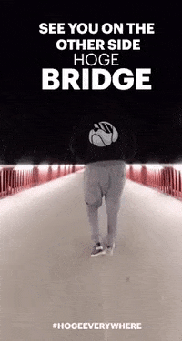 GIF by Hoge Finance