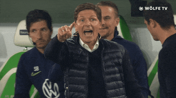 Head Coach No GIF by VfL Wolfsburg
