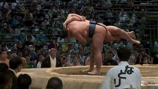 TZ85 giphyupload sumo 2023 nagoya basho hoshoryu GIF