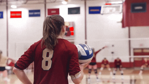 College Athletics Volleyball GIF by Norwich University