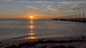 Playa Del Carmen Sunrise GIF by CGTraveler - Carlos Garrido - Adventrgram