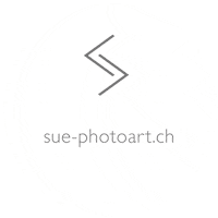 suephotoart photography photographer contentcreator weddingphotography Sticker