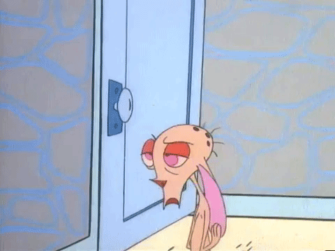ren and stimpy nicksplat GIF