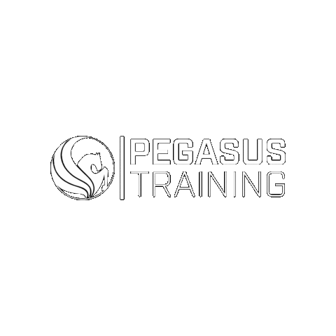 pegasustraining giphygifmaker fitness gym training Sticker