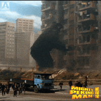 Martial Arts Reaction GIF by Arrow Video