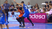 Post Up Liga Endesa GIF by ACB