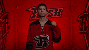 Fistpump GIF by Rapid City Rush