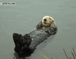 chillin GIF