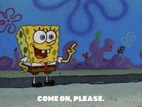 season 1 GIF by SpongeBob SquarePants