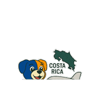 Costa Rica Plane Sticker by Alterra Home Loans