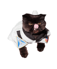 Cat Space Sticker