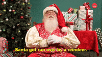 Santa Got Run Over By a Reindeer