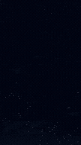Web Development Day GIF by Avira Digital Studios