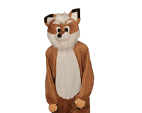 Rollins Gifs Fox Day Sticker by Rollins College