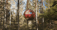 Travel Love GIF by Owayy