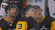 ice hockey no GIF by NHL