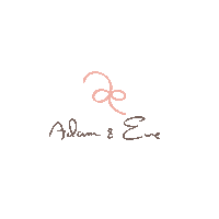 adamandeveph corset shapewear adameve adamandeveph Sticker