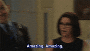 selina meyer amy brookheimer GIF by Veep HBO