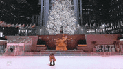 Merry Christmas GIF by NBC