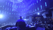 Doctor Neiman GIF by Circus Records