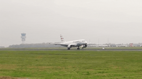 Take-Off Travel GIF by Brussels Airlines