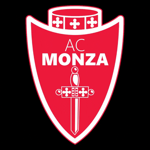 Monzacalcio GIF by acmonza